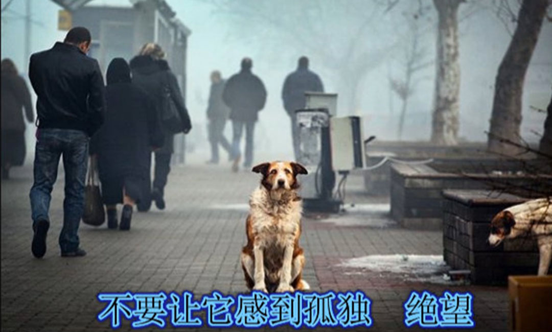 云南爱影圈微博微信转发案例